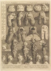 As cinco ordens de Periwigs, 1761.