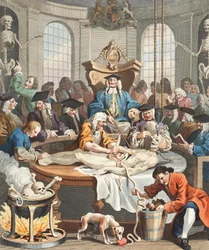 A Recompensa da Crueldade, de The Four Stages of Cruelty, ilustração de 