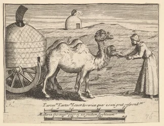 Dois dromedários Aubry de La Mottrayes Viaja pela Europa, Ásia e parte ..., 1723-24.