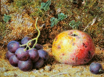 Maçãs e Uvas (aguarela com cor de corpo sobre papel)