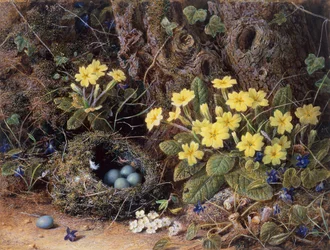 Natureza morta com ninho de pássaros, prímulas e violetas (lápis e aquarela)