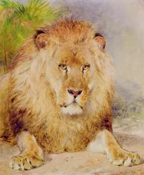 Leão