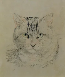 Gato malhado, 1874