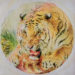 Cabeça de tigre