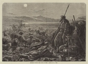 Pastores assistindo seus rebanhos por noite