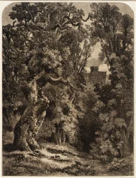 Paisagem