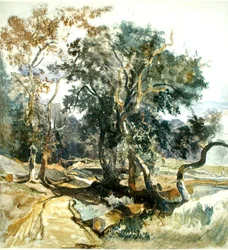 A Woodland Track (lápis e aguarela sobre papel)