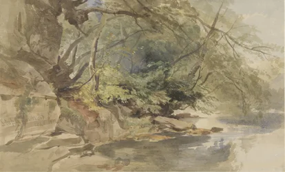 Rosto em Stapleton Wood, perto de Bristol