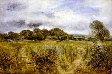 Milho Verde (óleo a bordo)