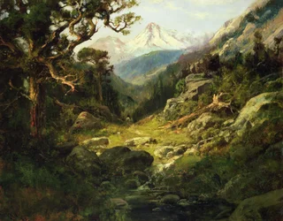 Paisagem com o Monte Shasta
