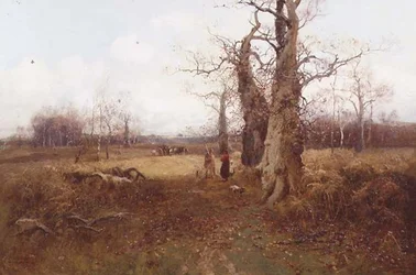 Paisagem de Outono