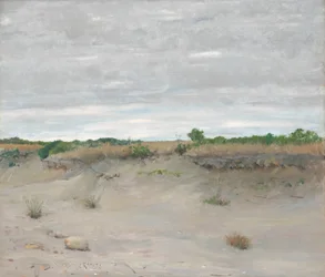 Wind-Swept Sands, 1894.