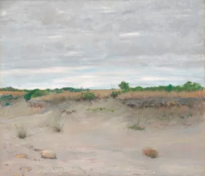 Praia arenosa e sem vento