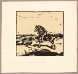 Das Shire Horse