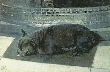 Napoleão