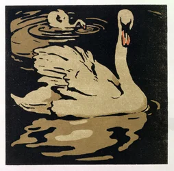 The Beautiful Swan, ilustração de 