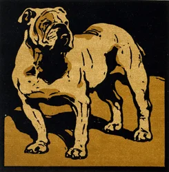 The British Bull-Dog, do 