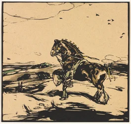 O Cavalo do Condado
