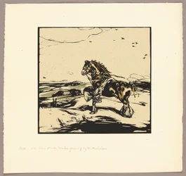 O cavalo Shire