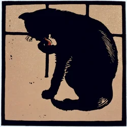 O Gato Un-Comum, do 