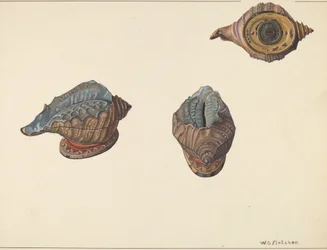 Shell Out Bank, c. 1938.