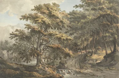 Paisagem com rio e condutor de gado em segundo plano