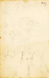 (Estudos - figuras, tronco, cavalo e cavaleiro, etc.)