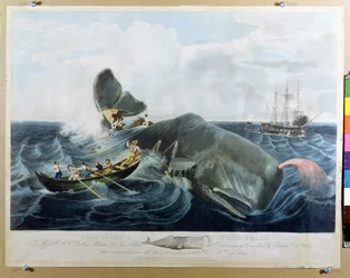 Capturando uma Baleia, gravada por J. Hill, publicada em 1835