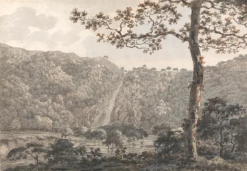 The Falls at Powerscourt, Co. Wicklow, Irlanda
