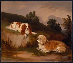 Paisagem com spaniel e terrier