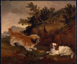 Paisagem com spaniel e terrier
