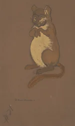 Desenho de figurino Dormouse para Alice-in-Wonderland, 1915.