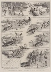 A pesca de crocodilos de um dia, a primeira e única experiência de um Shikari