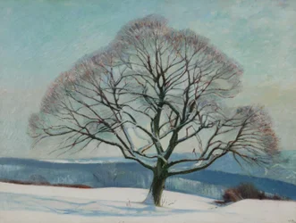 Árvore no inverno