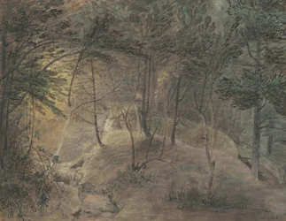 A vista do Springhouse em Echo, c.1808 (aquarela e tinta em papel de wove)
