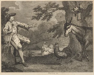 A Coruja, o Cisne, o Galo, a Aranha, o Rabo e o Agricultor
