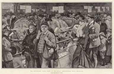 Show do Smithfield Club no Royal Agricultural Hall, em Islington