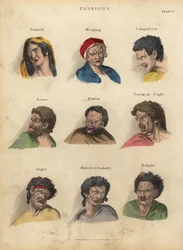 Paixões da Fisiognomia