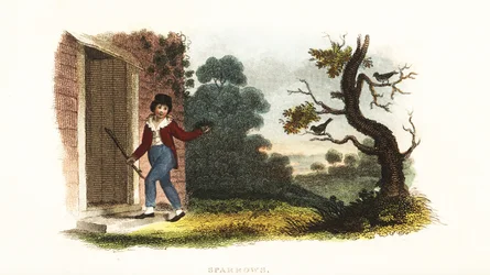 William Smellie, quando era rapaz, a tirar um ninho de jovens pardais dos pais, numa experiência