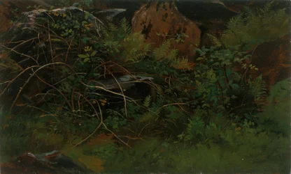 Estudo da Natureza.