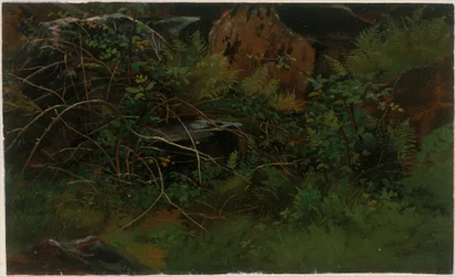 Estudo da natureza