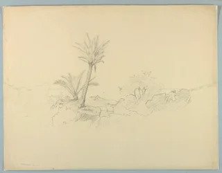 Estudo da paisagem marinha