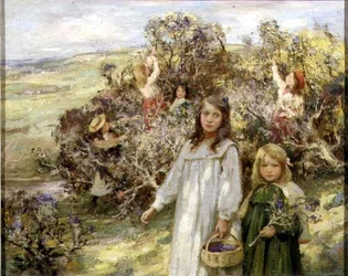 Recolha de amoras pretas (óleo sobre tela)