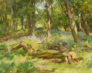 Cena da floresta (óleo sobre tela)