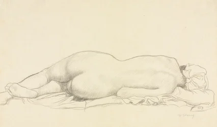 Nude Reclinado.