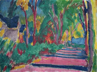 Estrada arborizada