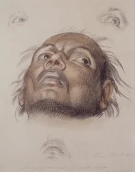 Estudo da Cabeça de um Índio Este, c.1875 (lápis e tinta no papel)