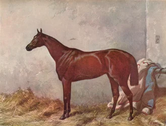 Eremita: vencedor das Estacas Derby em Epsom, 1867, 1903