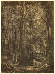 Desenho, In the Woods, estudo para pintura, June Woods, Sociedade Histórica de Nova Iorque, emprestado pela Biblioteca Pública de Nova Iorque, 1864