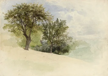 Paisagem com árvores em uma encosta, 1880-85 (wc, grafite e toques de guache branco em papel pesado creme wove)